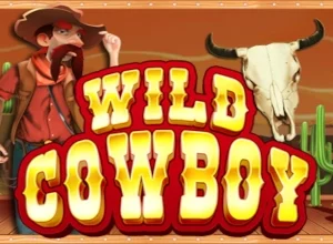 Wild Cowboy