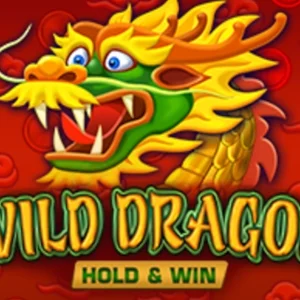 Wild Dragon Hold & Win