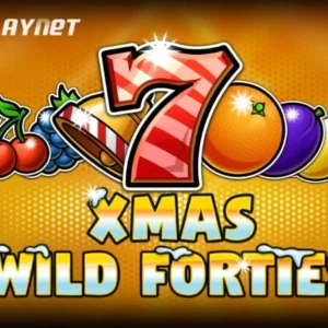 Wild Forties Xmas