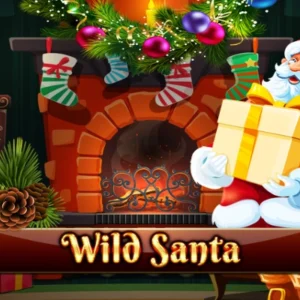 Wild Santa