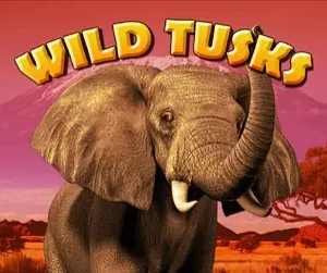 Wild Tusks