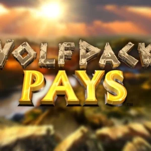 Wolfpack Pays