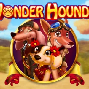 Wonderhounds